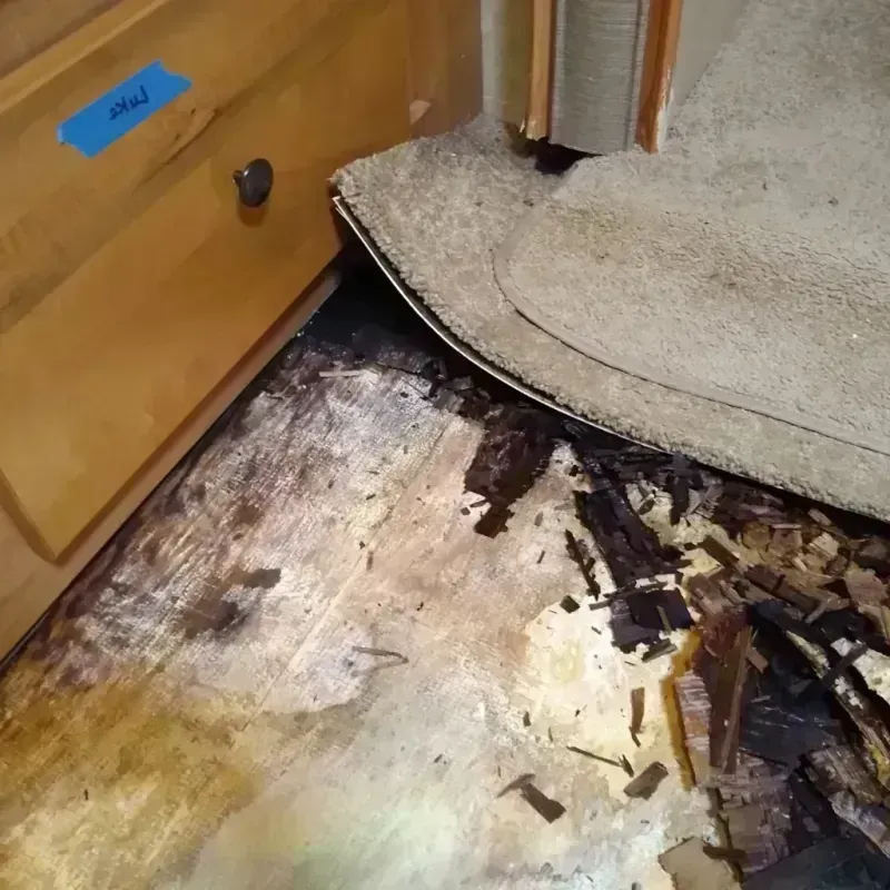 Wood Floor Water Damage in Mechanicsville, MD